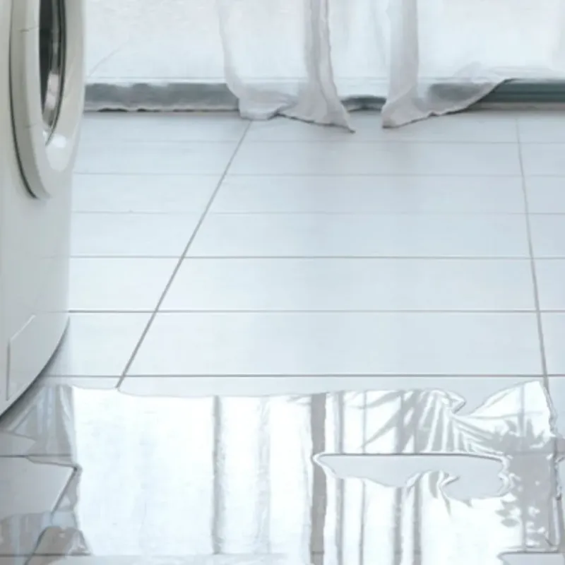 Appliance Leak Cleanup in Ozaukee County, WI