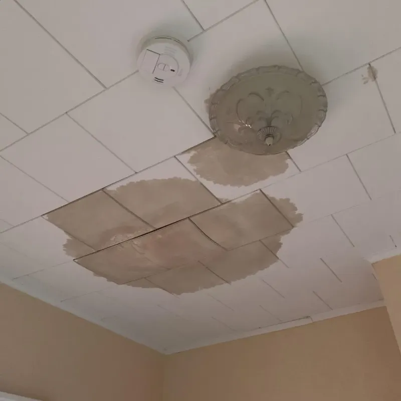 Ceiling Water Damage Repair in Ozaukee County, WI