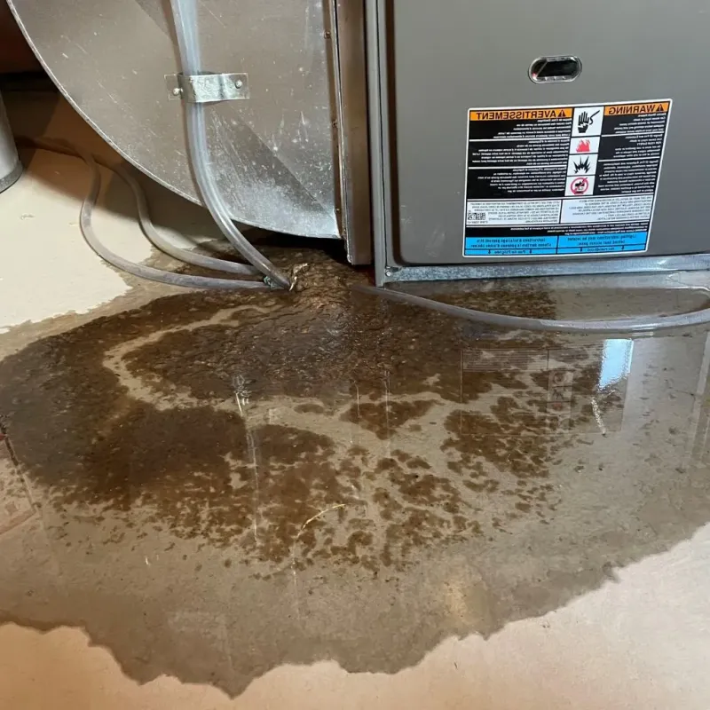 Pipe Burst and Leak Restoration in Ozaukee County, WI